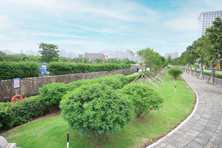 喜讯！城市绿地养护横琴大道段荣获珠海市城市园林绿化工程质量奖一等奖