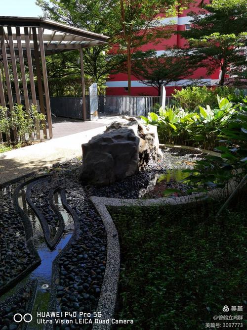 在水泥与绿叶之间 一座花园城市的生机交响